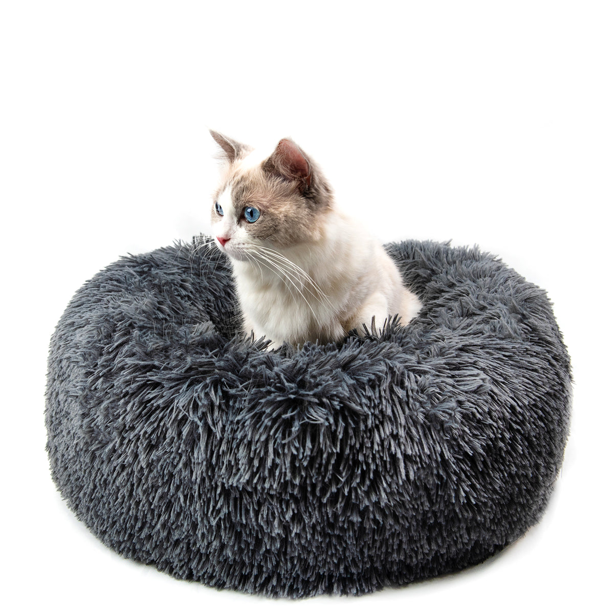 Round Plush Dog Bed — Calming Donut Bed for Small Dogs & Puppies